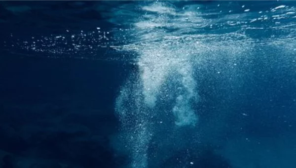 AI-Literate help wanted :